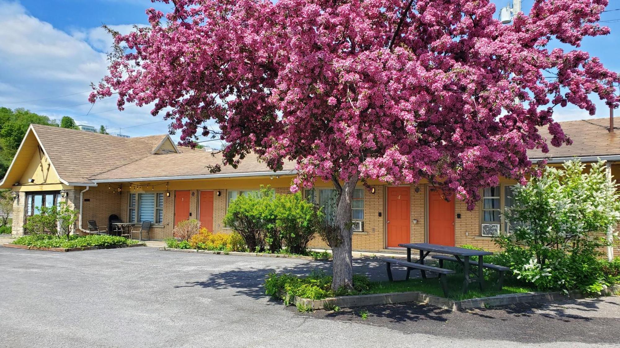 Lofts Fleuve Et Montagnes Motel Sainte-Anne-de-Beaupre Bagian luar foto
